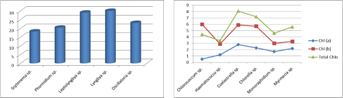 In vitro Culturing and Biochemical properties of Green and Blue-Green Algae in the Laterite soil

