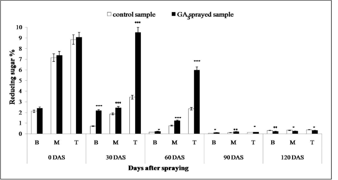 Influence of Gibberellins on sink strength and Expression of Genes associated with Sucrose accumulation in Sugarcane (Saccharum spp. Hybrids)
