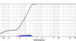 Green biosynthesis of silver nanoparticles and impact on growth, chlorophyll, yield and phytotoxicity of Phaseolus vulgaris L 