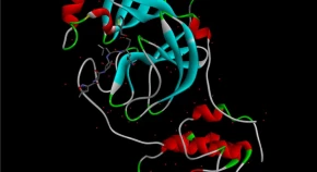 Molecular docking analysis of selected phytochemicals against SARS-CoV-2 Mpro receptor 