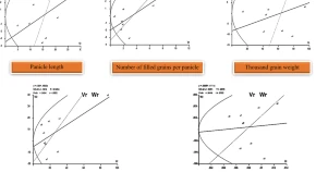 Genetic components and Vr–Wr graphical analysis using a diallel set of crosses involved biotic stress tolerance parents in rice 