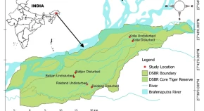 Tree species diversity and biomass carbon assessment in undisturbed and disturbed tropical forests of Dibru-Saikhowa biosphere reserve in Assam North-East India 