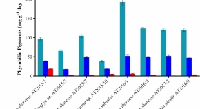 Bioprospecting antioxidants in some non-heterocystous filamentous cyanobacteria inhabit water bodies of semi-arid Rajasthan in India 