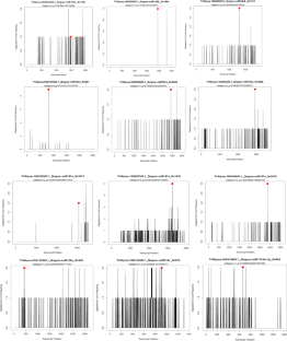 In-silico prediction of microRNA targets and finding genes suggesting significant involvement in the development of Glycine max seed 