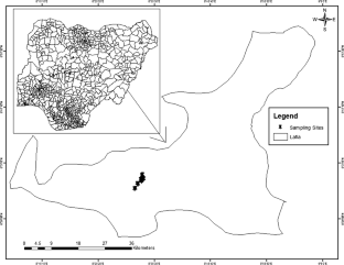 Functional traits differences of Cyclosorus afer (Christ) Ching. in some wetlands: a potential invasive fern 