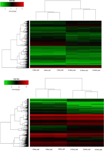 Computational analysis of microarray-based gene expression profiling and unveiling the functional traits in the developmental phases of Glycine max seed 