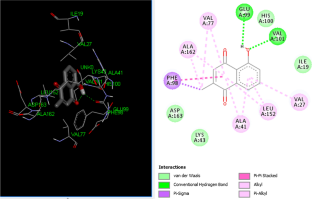 In silico analysis of plumbagin against cyclin-dependent kinases receptor 