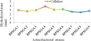 Bioethanol production from seagrass waste, through fermentation process using cellulase enzyme isolated from marine actinobacteria 