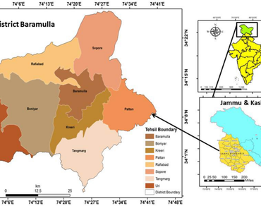 Medicinal plants diversity and their uses for Gynecological Disorders of District Baramulla, Jammu and Kashmir, India 
