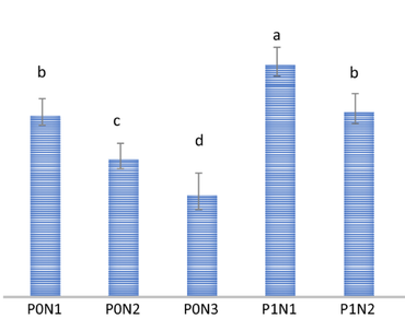 Effect of growth promoter VIUSID® on performance of fodder maize under different levels of nitrogen 