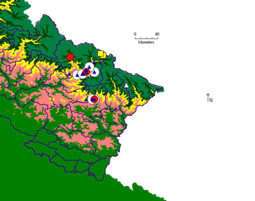 Seed physiological studies in six wild Prunus species of Indian Himalayas: implications for their cryobanking 