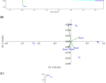 Visualizing the distribution of silicon in different plant parts of finger millet (Eleusine coracana (L.) Gaertn.) using electron dispersive spectroscopy (EDS) 