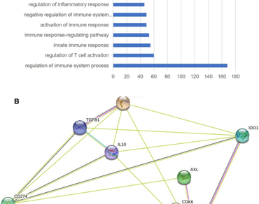 Elucidation of natural compounds Gallic acid and Shikonin for the treatment of HNSC cancer by targeting immune suppressor and tumour progressor genes 