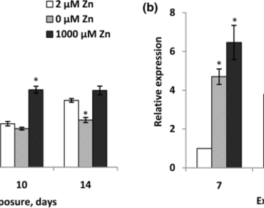 Effect of zinc deficiency and excess on catalase activity and HvCAT2 gene expression in barley 