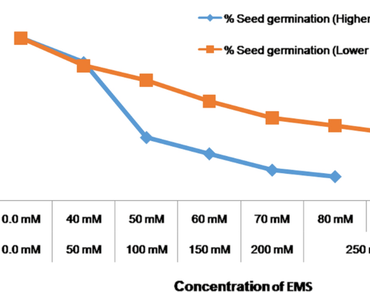 Evaluation and characterization of EMS induced mutant population of Gossypium herbaceum 