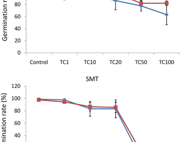 Usage of biochar to ameliorate the toxicity induced by antibiotics for seedlings at the germination stage 