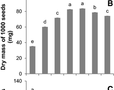 ROS production and antioxidant enzyme activity in relation to germination and vigor during tobacco seed development 