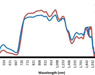 Retrieval of leaf protein content using spectral transformation: proximal hyperspectral remote sensing approach 