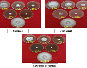 Eco-friendly management of white root rot (Dematophora necatrix, Hartig) of apple with selected organic formulations in Himachal Pradesh, India 