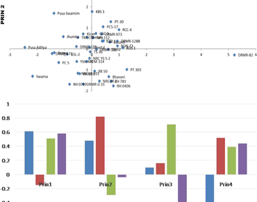 Evaluation of major anti-nutritional factors in oilseed Brassica 