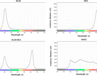Different spectral qualities do not influence the in vitro and ex vitro survival of Epidendrum denticulatum Barb. Rod.: a Brazilian orchid 