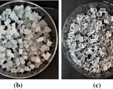 Production of L-amino acid oxidase from new fungal isolate Aspergillus terreus MZ769058 and optimization of their immobilization parameters 