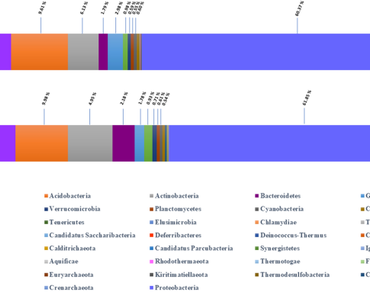 Rhizosphere metagenomics of wild and cultivated Caesalpinia bonducella L. depict similarities in their microflora 