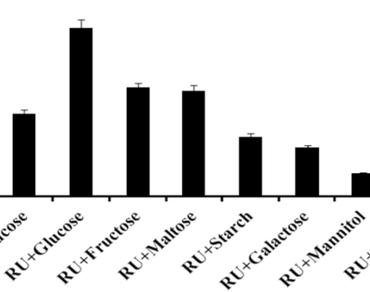 In vivo study of efficacy of synthesized silver nanoparticle for quercetin from Bacillus Subtilis against diabetic mice model 