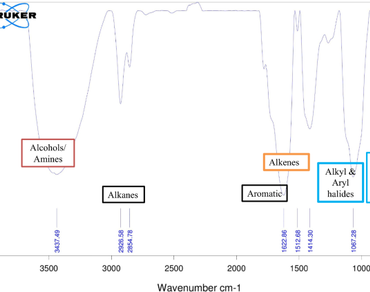 In vitro antioxidant and antidiabetic activity of ethanolic extract of Prosopis species growing in Rajasthan, India 
