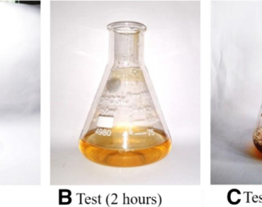 Biosynthesis of silver nanoparticles using mushroom extract and its toxicity assessement in zebrafish embryos 