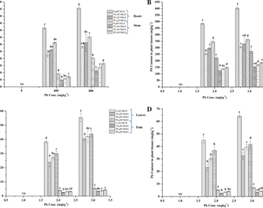 Effect of methyl jasmonate in enhanced growth, antioxidants and reduced Pb uptake in contrasting cluster bean cultivars 