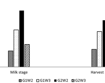 Roles of root plasticity to growth, water uptake and yield of quinoa under water regimes 