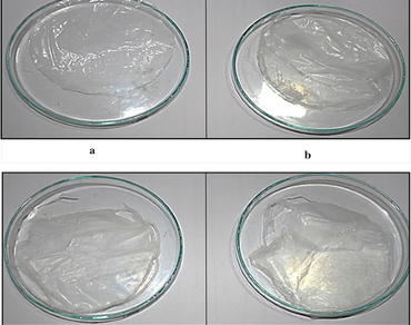 Environment improvement through valorization of organic industrial waste by synthesis of poly-β-hydroxybutyrate (PHB) using Synechococcus elongatus 