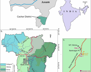 Algal communities in man-made marshy wetlands near a coal-fired brick kiln industry in India 