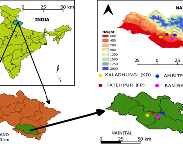 Tree biomass and carbon stock in subtropical Sal forest of Central Himalaya, India 