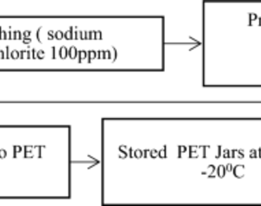 The impact of various pre-treatments on the physiochemical attributes and storage stability of Persea americana 