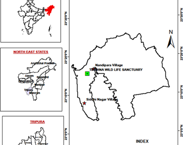 Soil quality, carbon stock and climate change mitigation potential of Dipterocarp natural and planted forests of Tripura, Northeast India