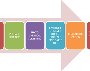 Phytogenic synthesis of metallic nanoparticles: application for breast cancer nanomedicine  