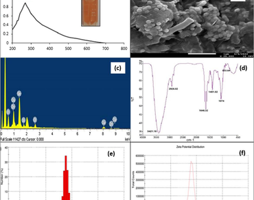 Biogenic synthesis of selenium nanomaterial and its application as anti-Nematode booster in Solanum lycopersicum (Tomato)