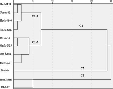 Agronomic and physiological response of various Japanese plums (Prunus salicina L.) to severe water stress