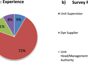 Development of an effective strategy using green synthesized nanoparticles to decolorize a representative dye used in textile industries of Sanganer, Jaipur (India) 