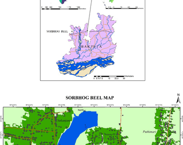 Physico-chemical parameters and phytoplankton heterogeneity in different seasons of Sorbhog Beel, a pivotal floodplain wetland in the Himalayan Foothill 