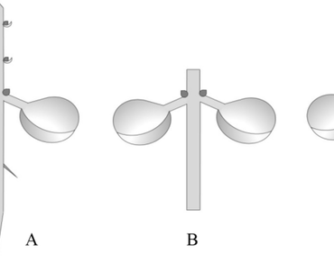 Major nutrient reserves in seeds of Cicer arietinum, patterns of their depletions from the cotyledons and coincidental gains in biomass of growing seedling in response to selective organectomy