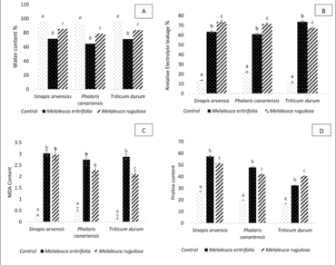 Allopathic potential of essential oil extracts on weeds germination and seedlings growth in sustainable agriculture: the phytochemical study of Tunisia’s two Melaleucaspecies