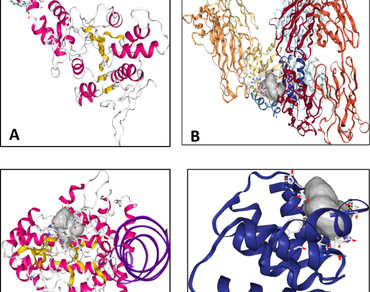 In silico molecular docking analysis and ADME prediction of cow urine derived 1-heneicosanol against some bacterial proteins