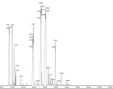 Unveiling the pharmaceutical and therapeutic potentials of Bambusa vulgaris essential oil