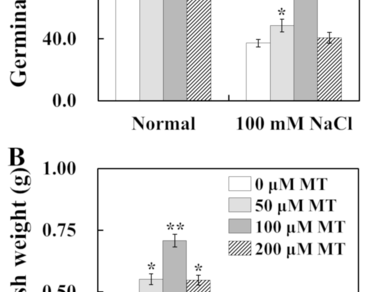 Exogenous melatonin (MT) enhances salt tolerance of okra (Abelmoschus esculentus L.) plants by regulating proline, photosynthesis, ion homeostasis and ROS pathways