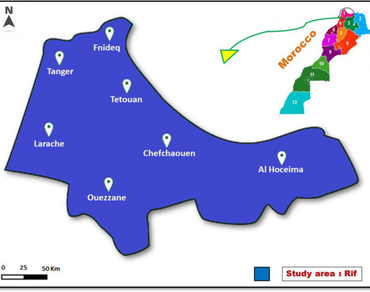 Herbal remedies used to treat digestive system ailments by indigenous communities in the Rif region of northern Morocco