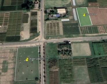 Effect of meteorological parameters on population dynamics of brinjal shoot and fruit borer under central Punjab, India 