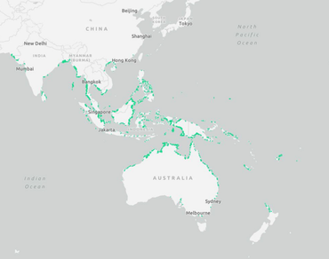 Phytochemical constituents, bioactivity, traditional uses and nutritional properties of Bruguiera cylindrica (L.) Blume: a comprehensive review  